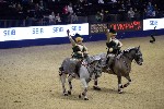 Quadrille - 00774
